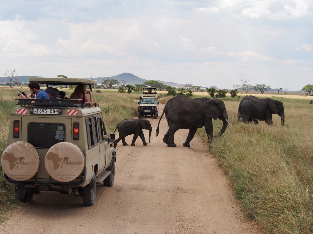 Serengeti National Park & Ngorongoro Crater, Tanzania - Little Duckie's 