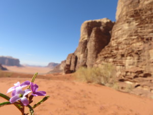 Wadi Rum Desert - photo by Kera