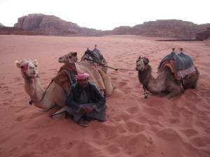 Abdullah and his Camels