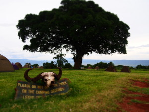 Ngorongoro Crater Campsite