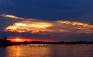 Chobe River Sunset