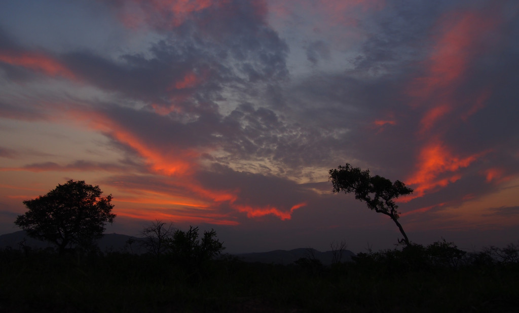 Sunset in Kruger National Park