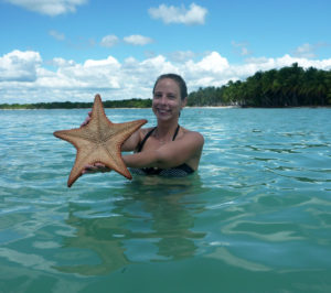 Sea stars in the Caribbean Sea