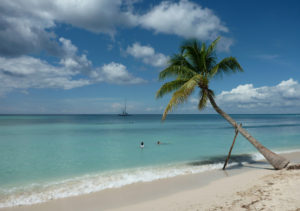 Isla Saona Main Beach